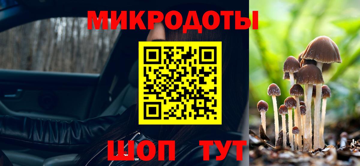 Псилоцибиновые грибы Magic Shrooms Топки